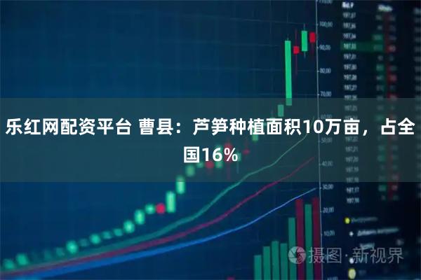 乐红网配资平台 曹县：芦笋种植面积10万亩，占全国16%