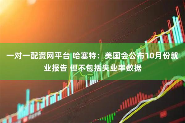 一对一配资网平台 哈塞特：美国会公布10月份就业报告 但不包括失业率数据