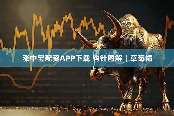 涨中宝配资APP下载 钩针图解｜草莓帽