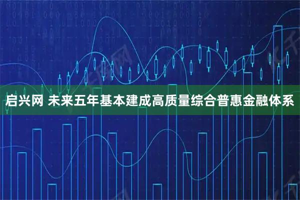 启兴网 未来五年基本建成高质量综合普惠金融体系