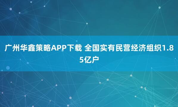 广州华鑫策略APP下载 全国实有民营经济组织1.85亿户